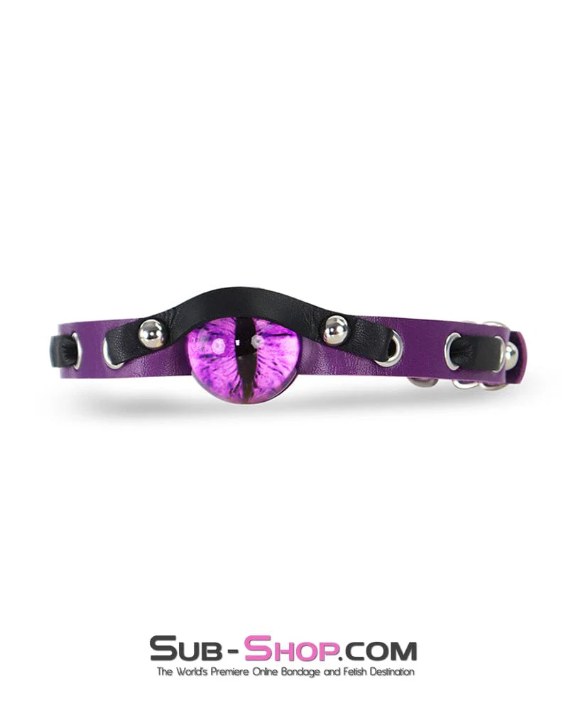 0170DL  Enchanted Amethyst Dragon Eye Collar
