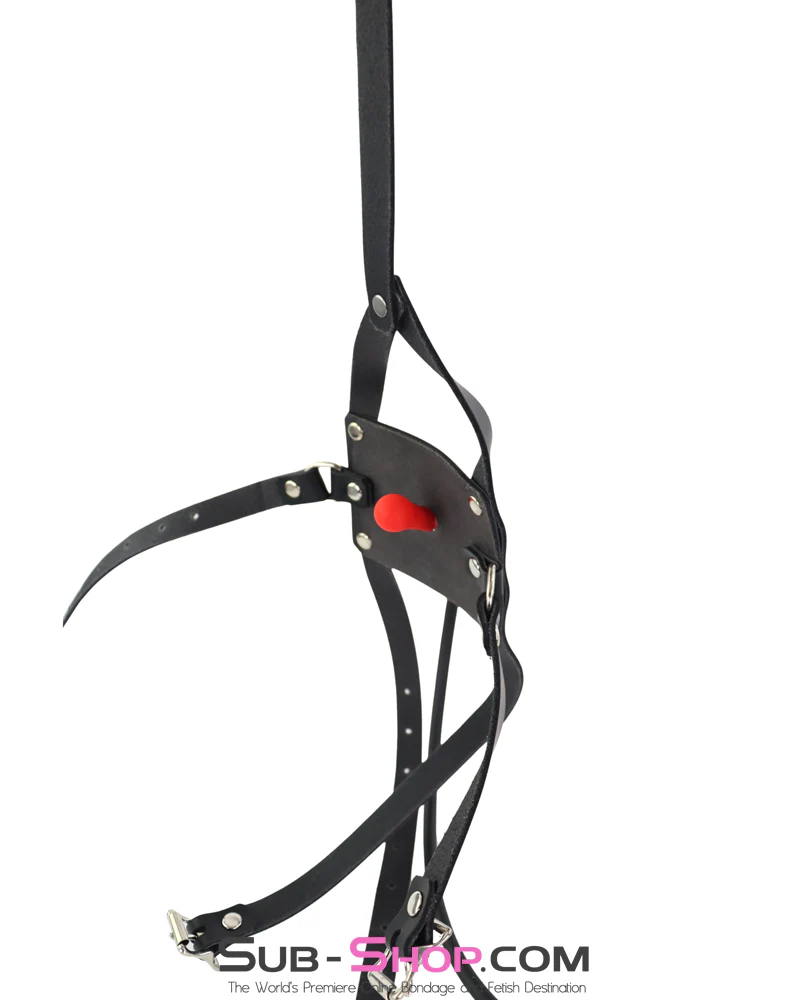 0325A Inflatable Ball Gag with Leather Muzzle Trainer Harness - Image 3