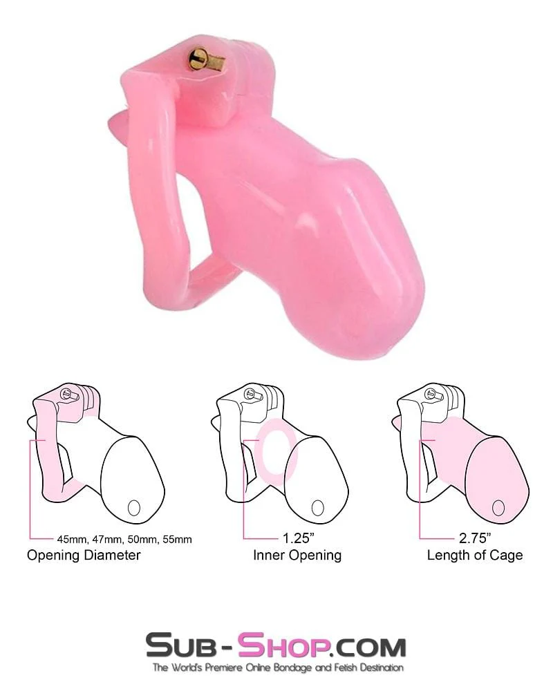 0396AE      Sissy Bitch High Security Keyed Tumbler Locking Male Chastity with 4 Base Cock Ring Sizes - MEGA Deal - Image 2