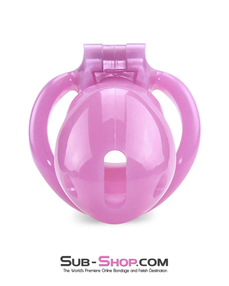0396AE      Sissy Bitch High Security Keyed Tumbler Locking Male Chastity with 4 Base Cock Ring Sizes - MEGA Deal - Image 4
