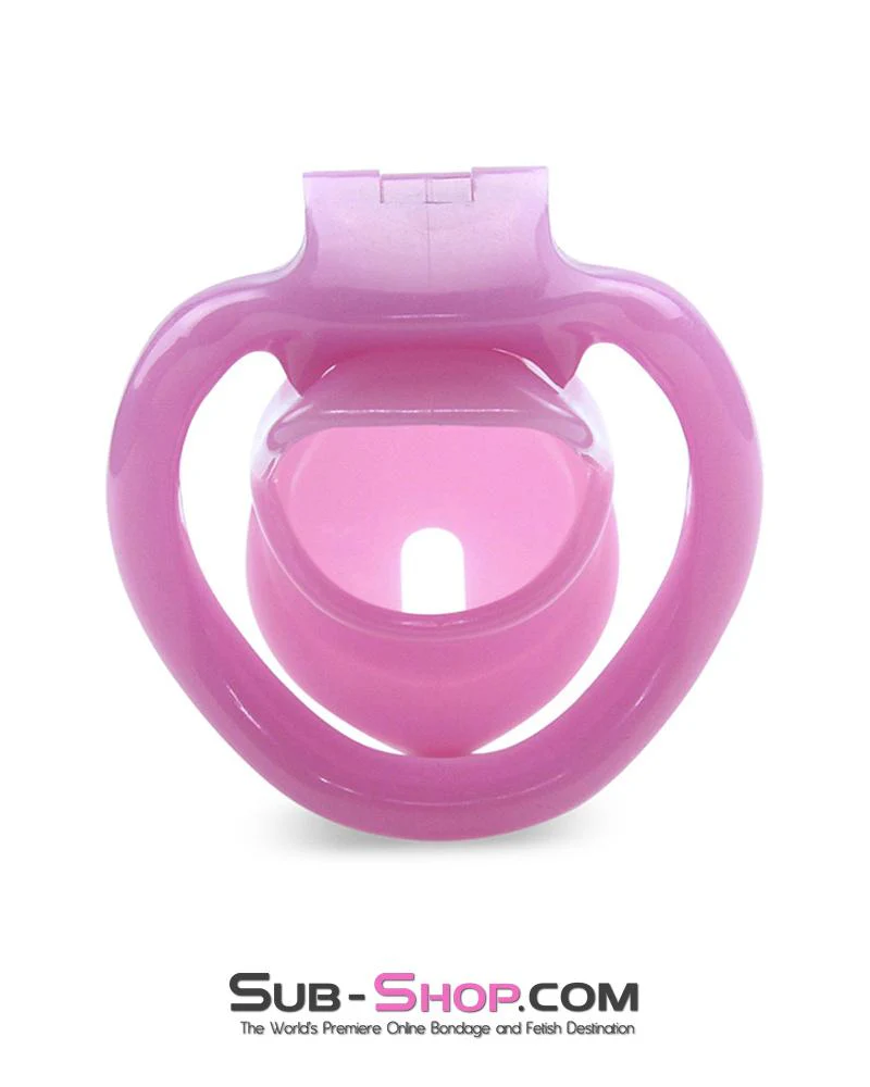 0396AE      Sissy Bitch High Security Keyed Tumbler Locking Male Chastity with 4 Base Cock Ring Sizes - MEGA Deal - Image 6