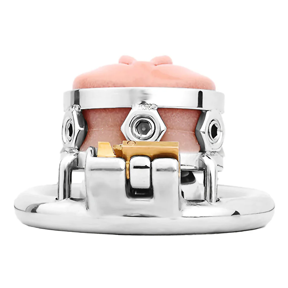 0821M  Feminizing Locking Stainless Steel Chastity Cage with Silicone Pussy Front and Adjustable Spikes - Image 3