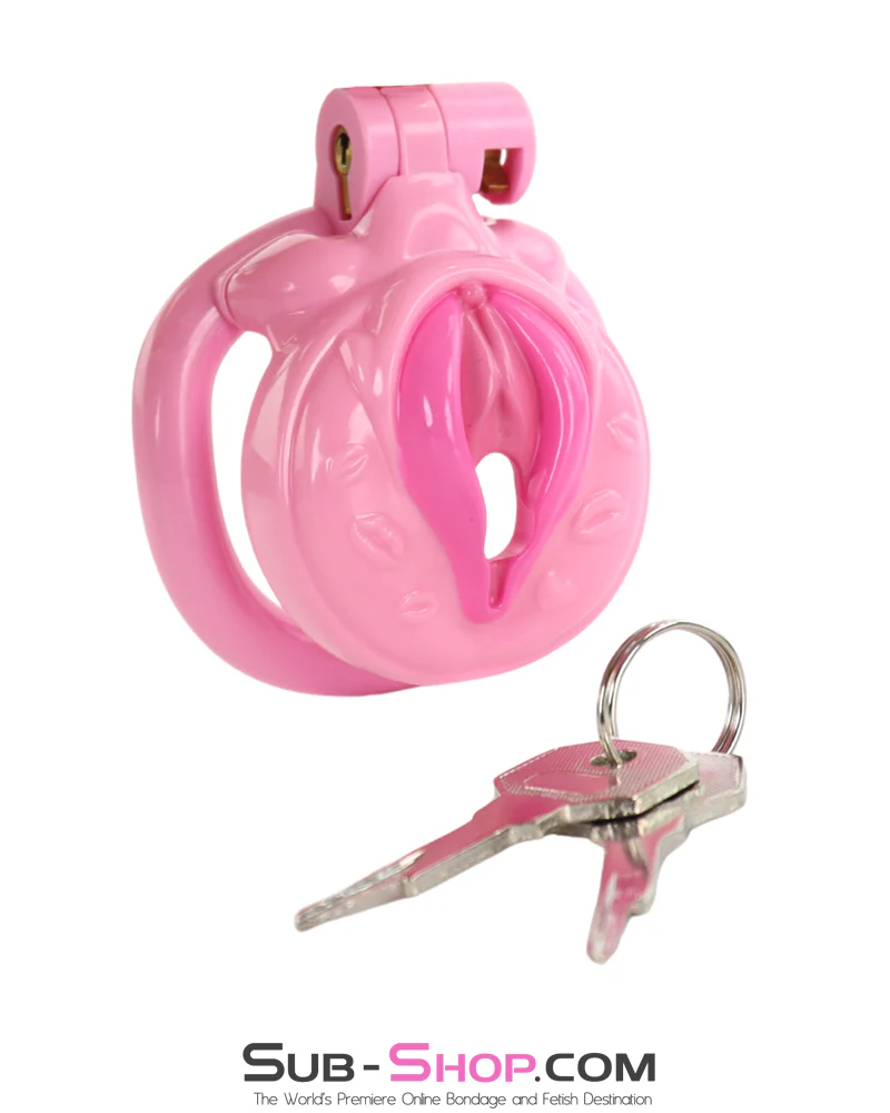 1100M Sissy Pussy Chastity Cage – Feminized Cock Cage with 3 Rings & Numbered Locks