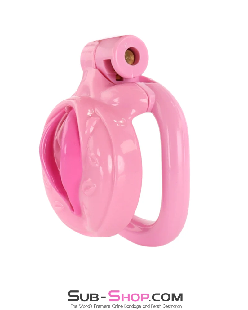 1100M Sissy Pussy Chastity Cage – Feminized Cock Cage with 3 Rings & Numbered Locks - Image 2
