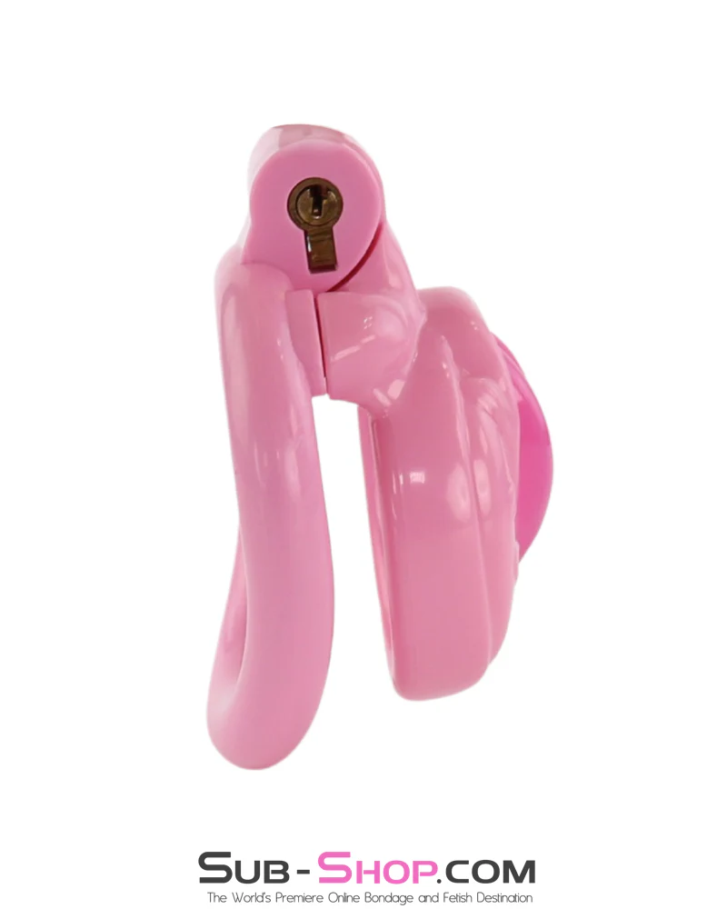 1100M Sissy Pussy Chastity Cage – Feminized Cock Cage with 3 Rings & Numbered Locks - Image 3