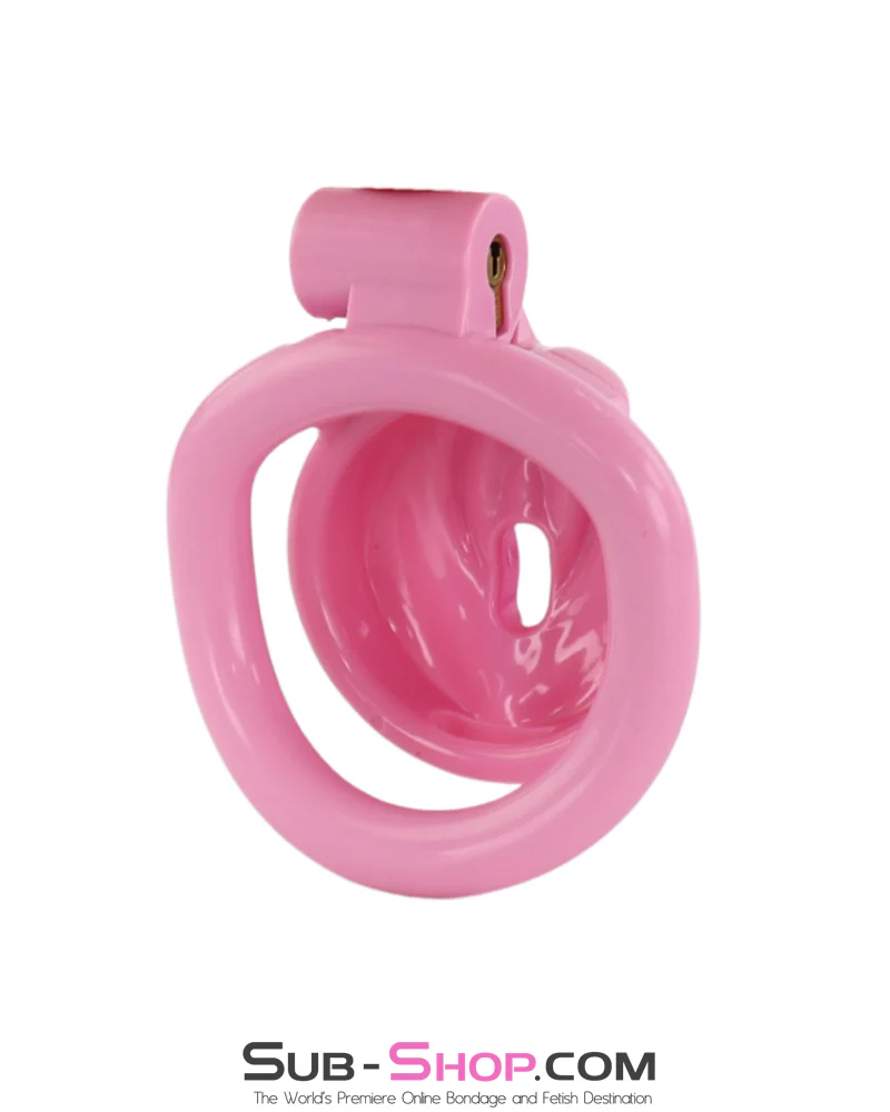 1100M Sissy Pussy Chastity Cage – Feminized Cock Cage with 3 Rings & Numbered Locks - Image 4