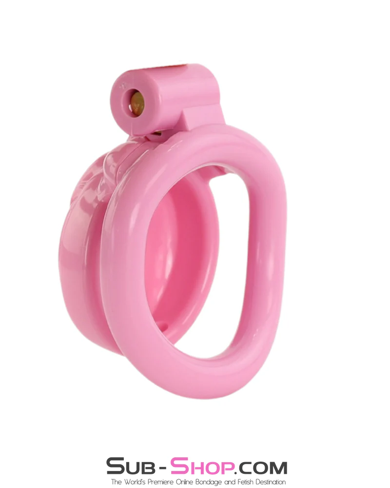 1100M Sissy Pussy Chastity Cage – Feminized Cock Cage with 3 Rings & Numbered Locks - Image 5