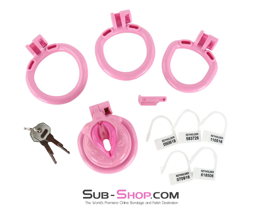 1100M Sissy Pussy Chastity Cage – Feminized Cock Cage with 3 Rings & Numbered Locks - Image 7