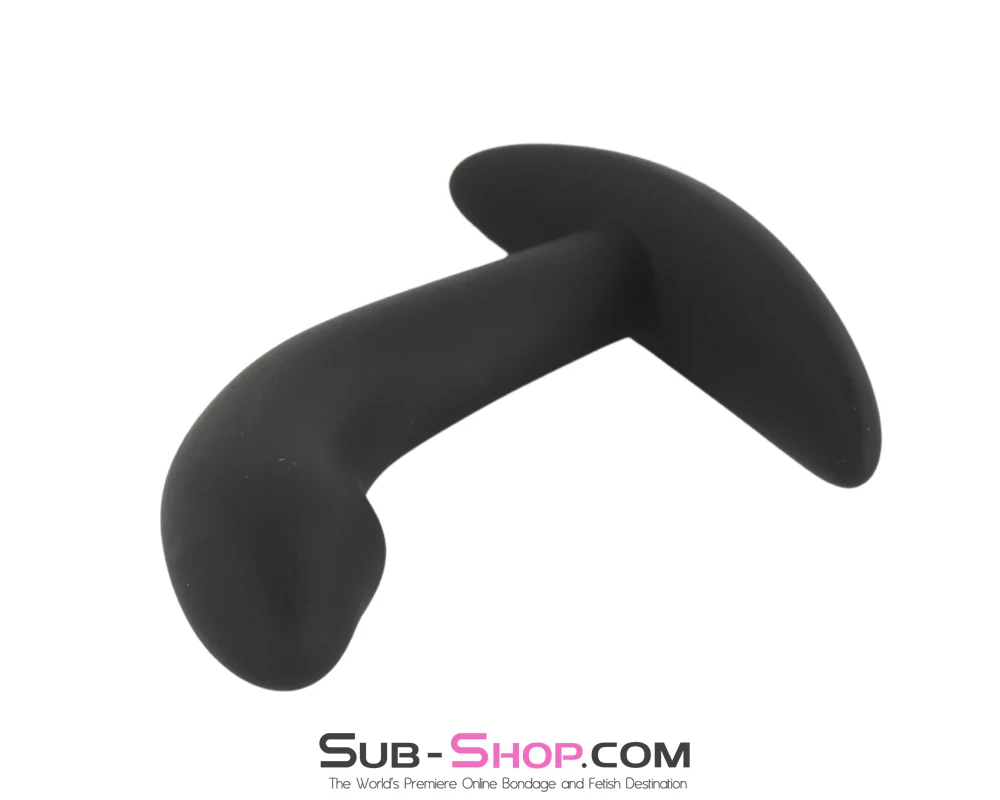 1329M Electric Shock Prostate Trainer - E-Stim Anal Plug with Digital Controller & Remote - Image 5