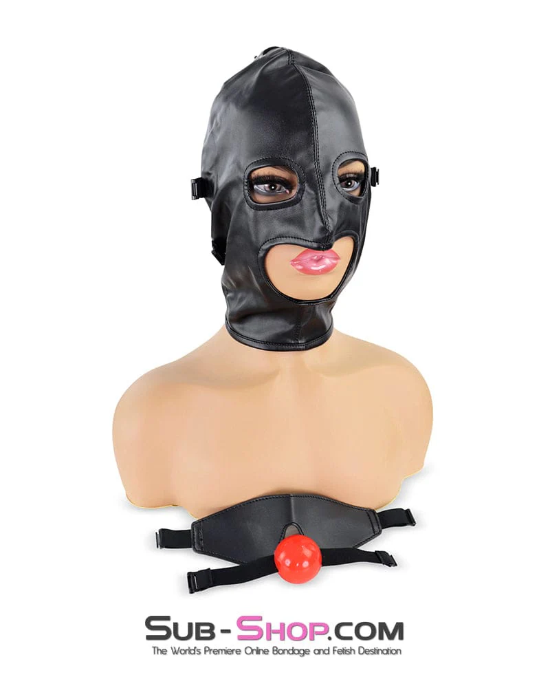 1833DL Soft Lacing Hood with Removeable Blindfold and Ball Gag - Image 11
