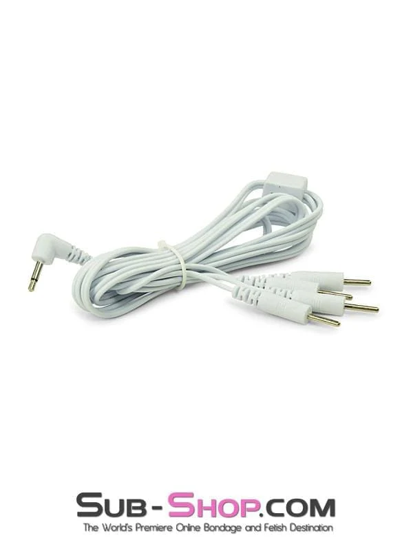 2301M Electro Sex Power Box Wires, 4 Plug Type Connectors