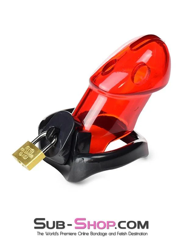 2619R      Caught Red Handed Locking Cock & Ball Chastity Set - MEGA Deal - Image 4