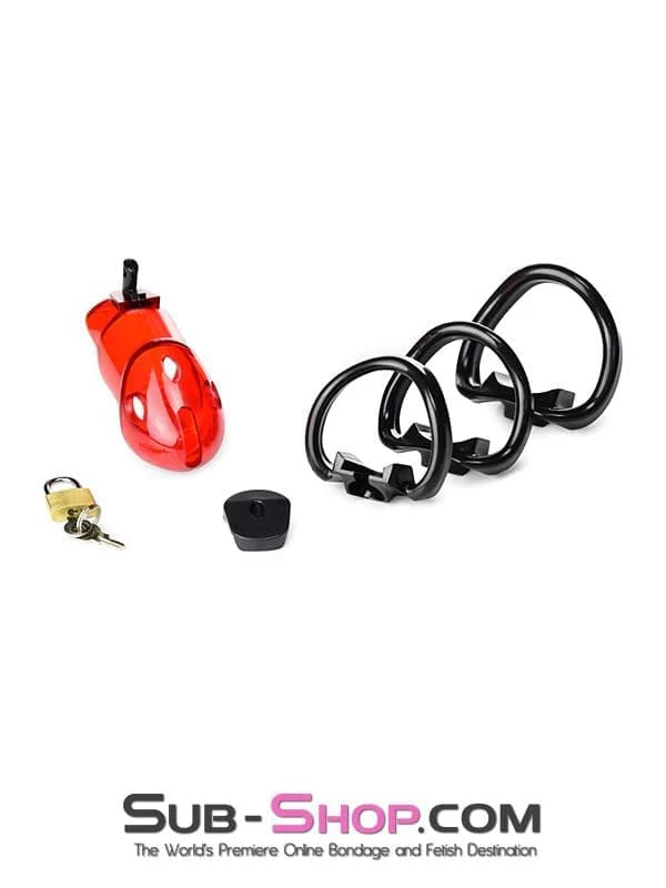 2619R      Caught Red Handed Locking Cock & Ball Chastity Set - MEGA Deal - Image 5