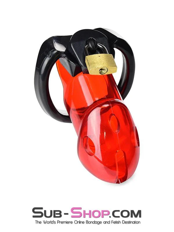 2619R      Caught Red Handed Locking Cock & Ball Chastity Set - MEGA Deal - Image 6