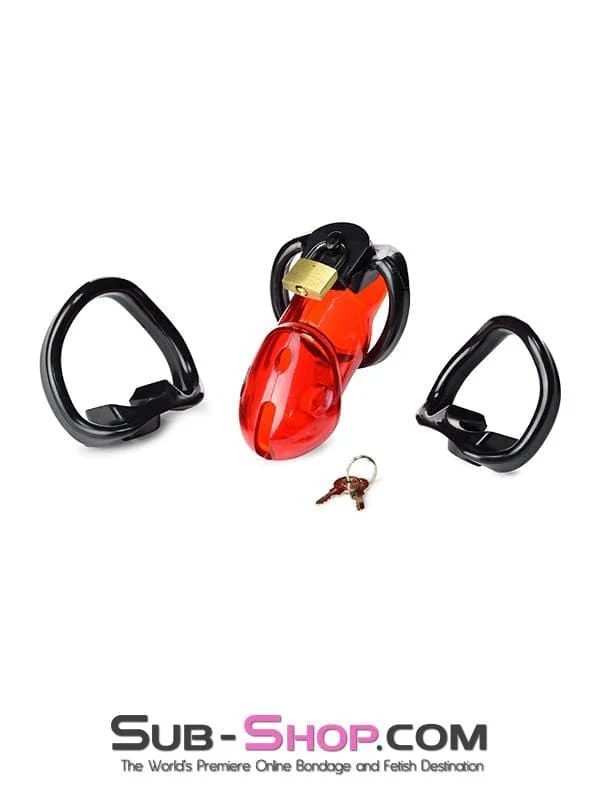 2619R      Caught Red Handed Locking Cock & Ball Chastity Set - MEGA Deal - Image 7