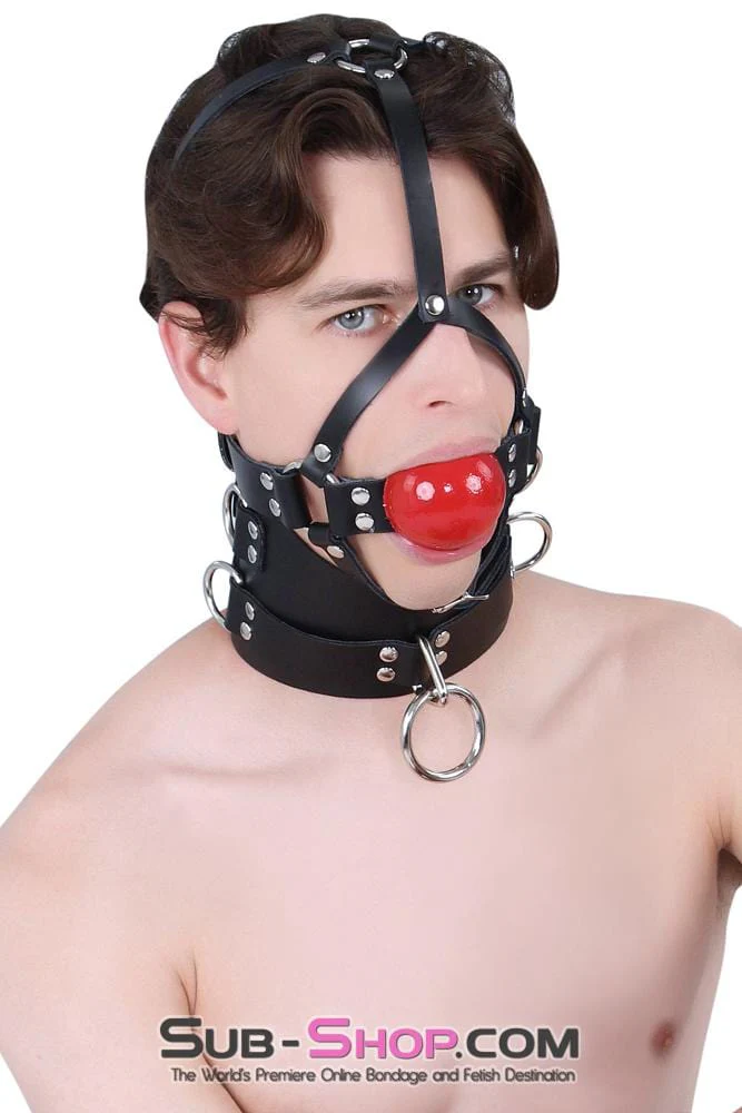0450A 2” Leather Ball Gag Trainer, Candy Apple Red Ball - Image 16