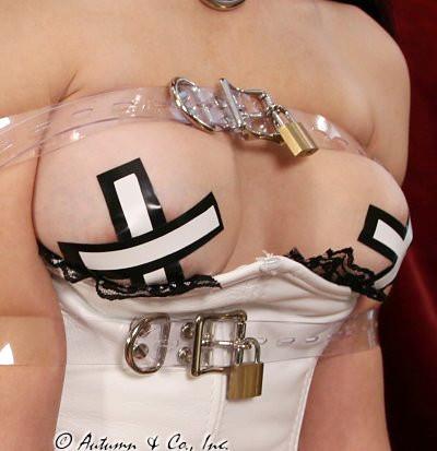 6786A Clearly Locked Luxe PVC Locking Buckle Bondage Straps - 4 Sizes! - Image 29