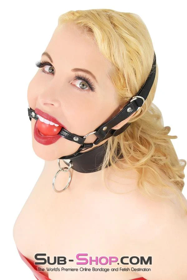 ✨7864DL Over the Top Ball Gag Trainer, Red Ball - BLACK FRIDAY PREVIEW✨ - Image 9