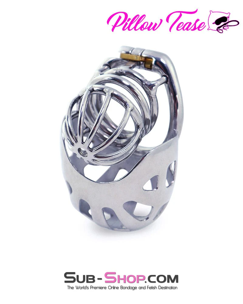 0995AR      Balls and All Full Coverage Locking Steel Chastity Device, 2" Cock Ring - Image 3