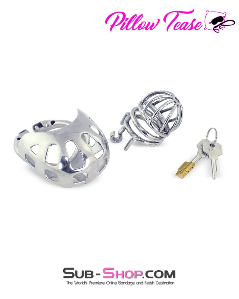 0995AR      Balls and All Full Coverage Locking Steel Chastity Device, 2" Cock Ring - Image 4