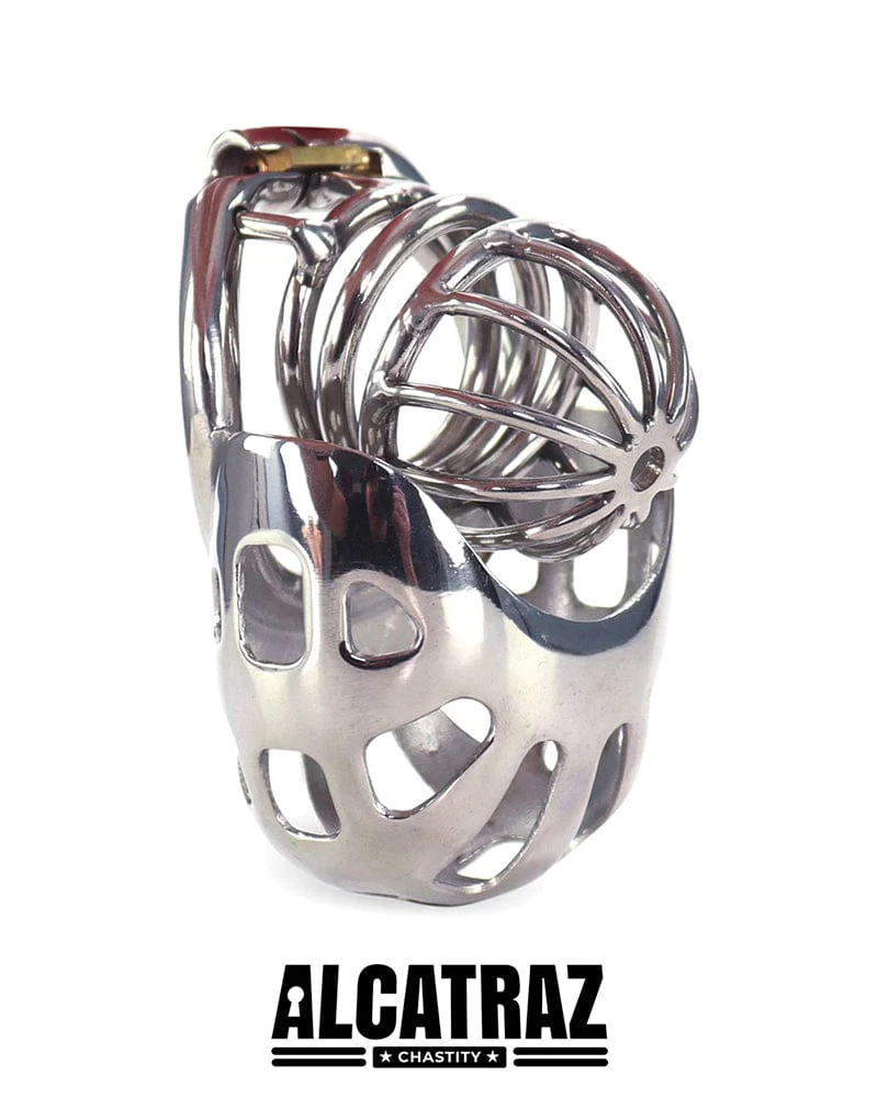 0995AR      Balls and All Full Coverage Locking Steel Chastity Device, 2" Cock Ring - Image 9