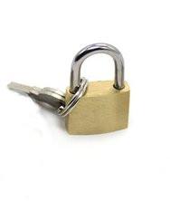 8983DL Brass Bondage Gear Padlock