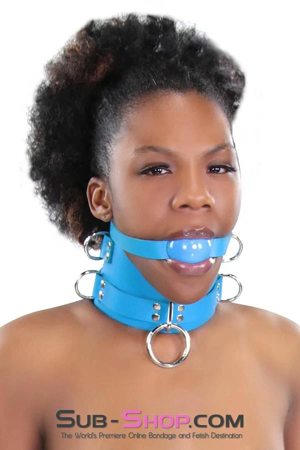 2444A Candy Blue Leather Classic Ball Gag Strap, Royal Blue Ball - Image 2