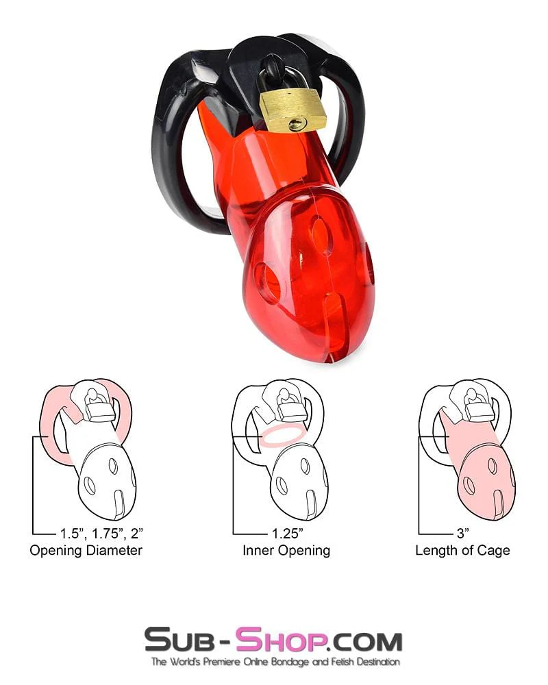 2619R      Caught Red Handed Locking Cock & Ball Chastity Set - Image 8