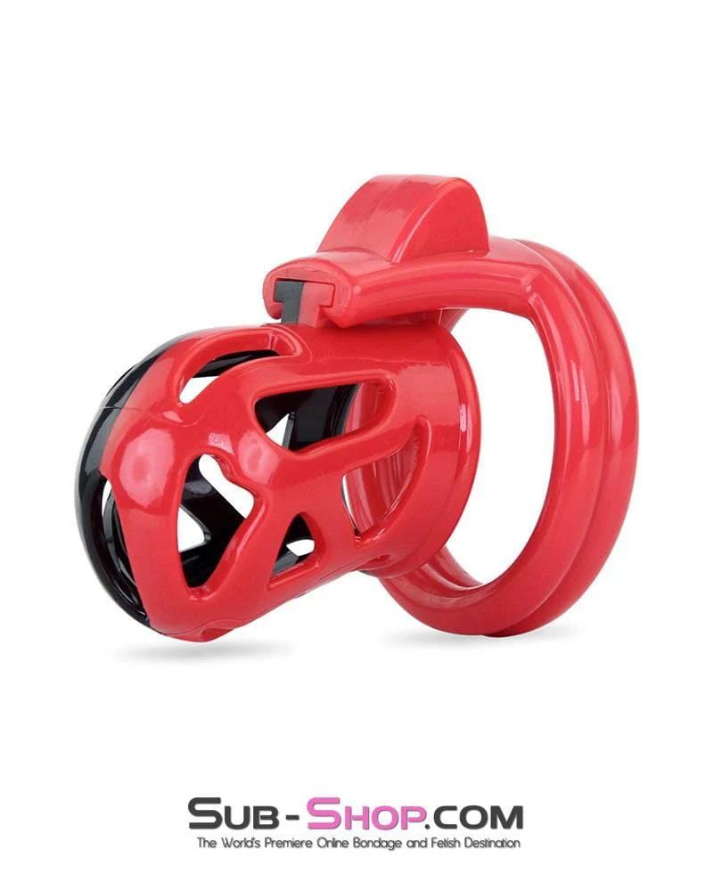 3445AE-SIS      Chastity Sissy Cocktease and Torment Sensation Cage High Security Locking Male Chastity Device - Image 2
