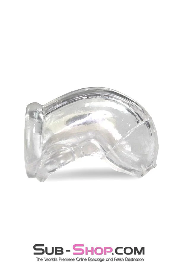 2538A Clear Molded Jelly Cock Cage