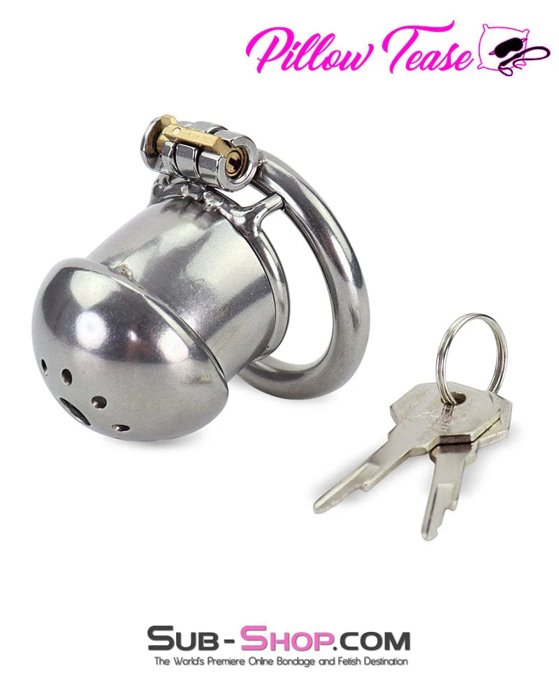 1875AR Cock Torment Locking Steel Chastity Cock Cage