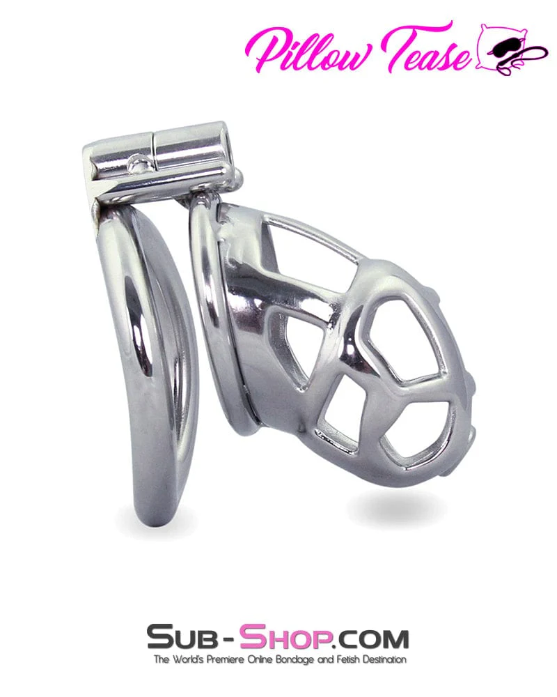 1478AR-SIS      Denied in Steel Male Teasing Sissy Chastity Cage - Image 2