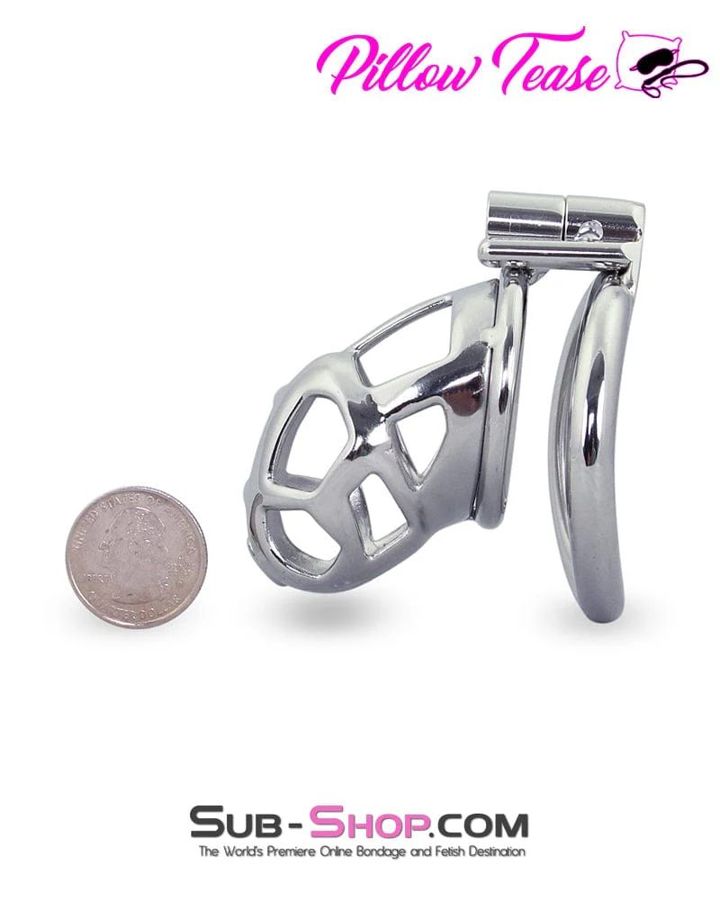 1478AR-SIS      Denied in Steel Male Teasing Sissy Chastity Cage - Image 3