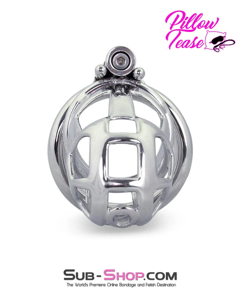 1478AR-SIS      Denied in Steel Male Teasing Sissy Chastity Cage - Image 4