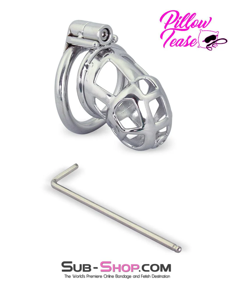 1478AR-SIS      Denied in Steel Male Teasing Sissy Chastity Cage - Image 5