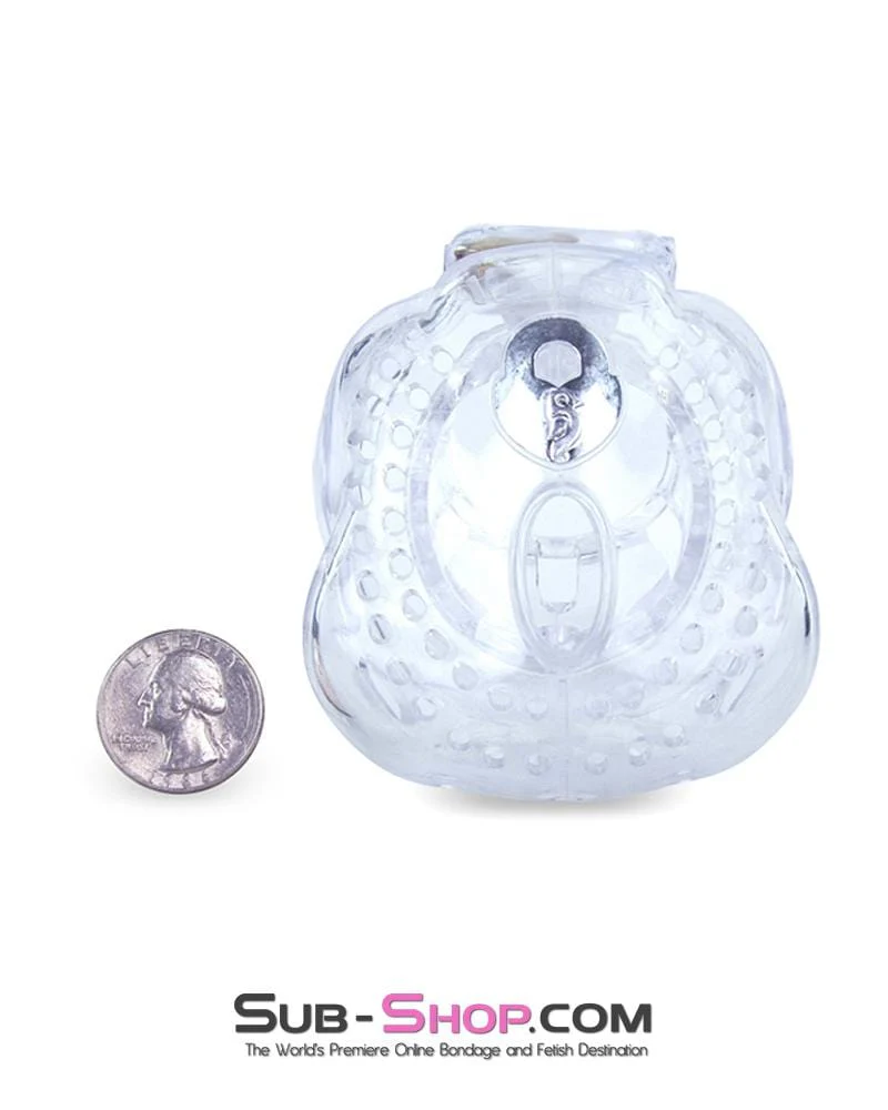 1583AR Small Dungeon Cage Clear High Security Full Coverage Male Chastity Device