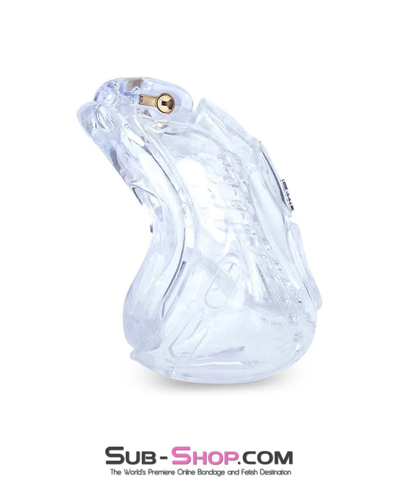 1583AR Small Dungeon Cage Clear High Security Full Coverage Male Chastity Device - Image 2