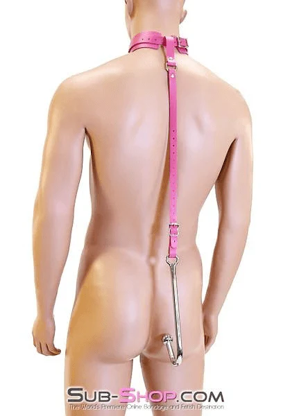7167A Femme Trainer Adjustable Anal Hook Trainer and Collar Set - Image 11