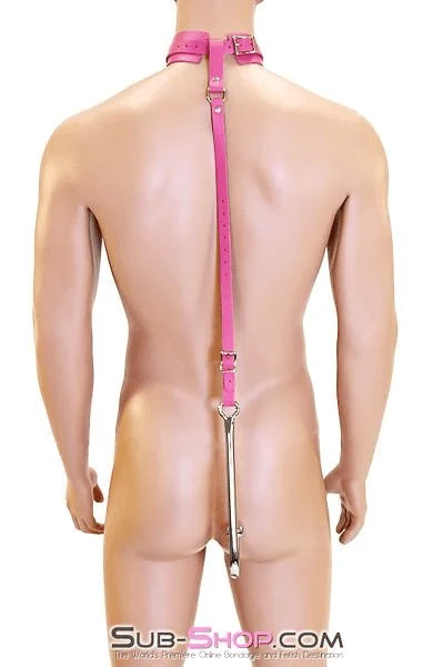 0767A Femme Trainer Adjustable Anal Hook Trainer and Collar Set, Slim Tip - Image 12