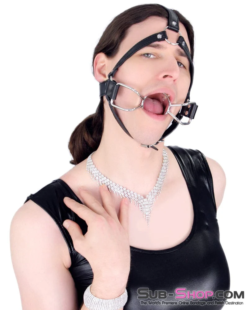 8997DL-SIS French Kiss Sissy Slave Trainer Sissy Transformation Open Mouth Ring Gag - Image 3