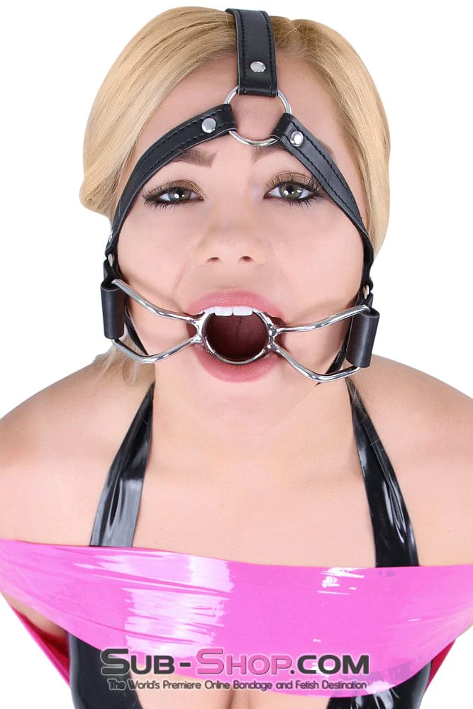 8997DL      French Kiss Trainer Open Mouth Ring Gag - MEGA Deal - Image 5