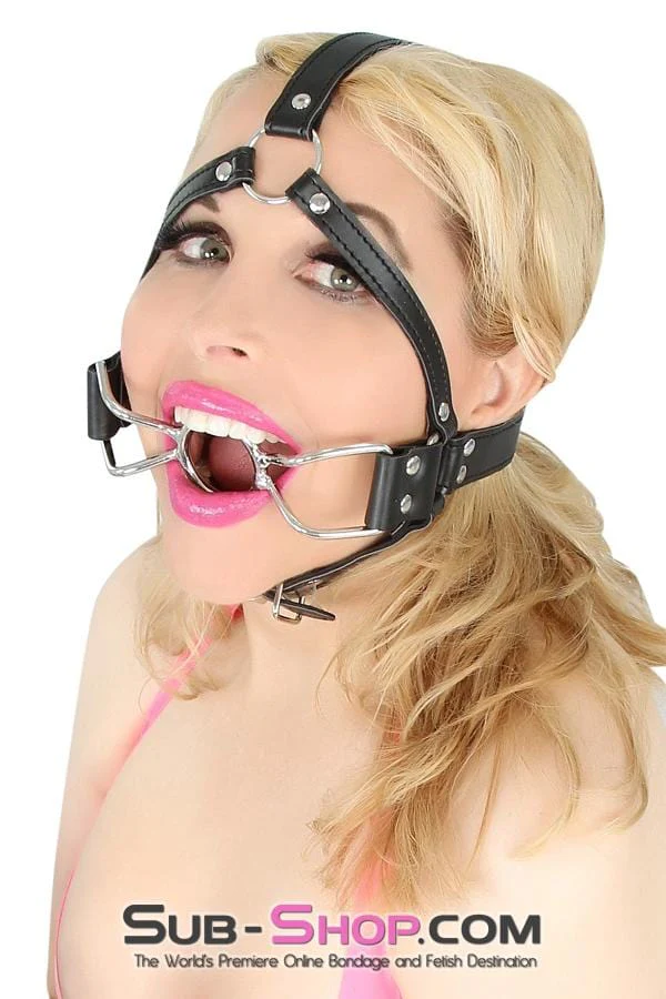 8997DL      French Kiss Trainer Open Mouth Ring Gag - MEGA Deal - Image 9
