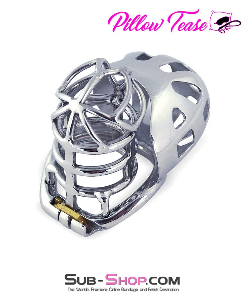 1445AR      Full Coverage Steel Locking Chastity Tease and CBT Device, 2" Cock Ring - Image 4