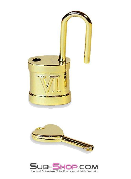 9732K Gold Series Sex Lock