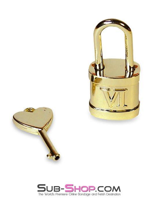 9732K Gold Series Sex Lock - Image 2