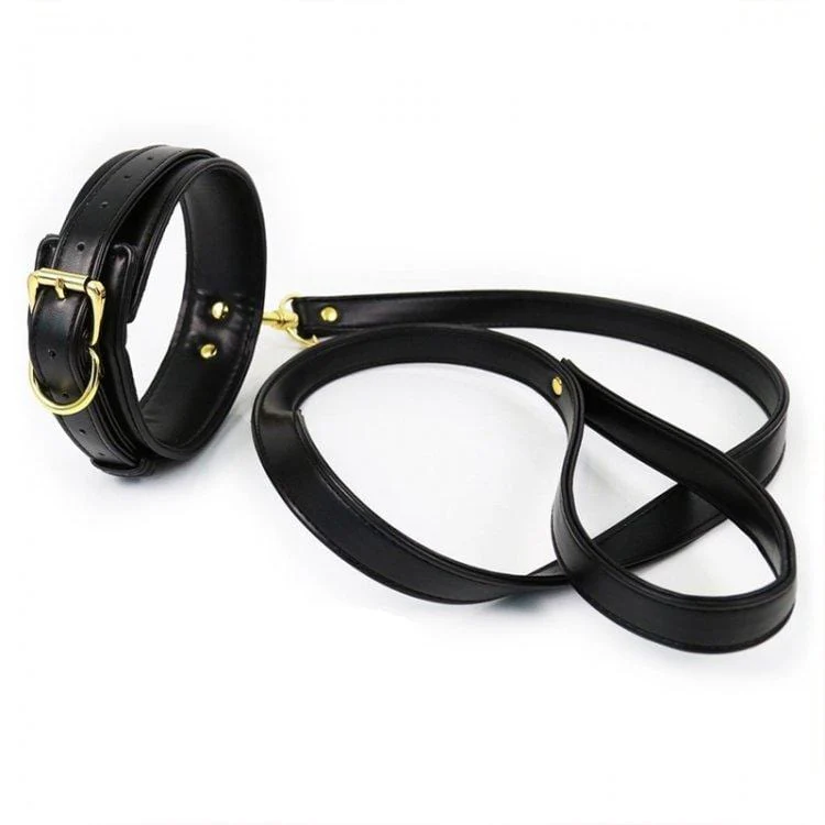2370M Gold Standard Black Padded Supple Collar and Leash Set - Image 2