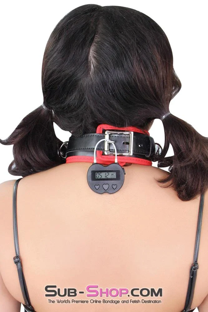 2747M     Time Lock USB Rechargeable Lock, The Ultimate Self Bondage Lock, Heart Shaped - Image 9