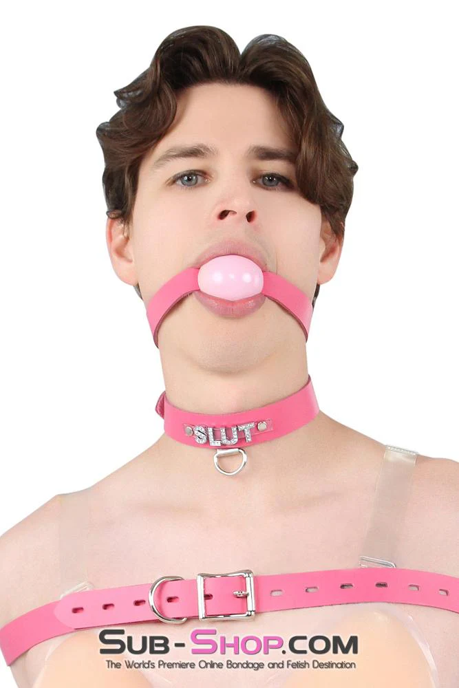 6847A-SIS Hot Pretty Pink BDSM Roleplay Sissy SLUT Rhinestone Leather Collar