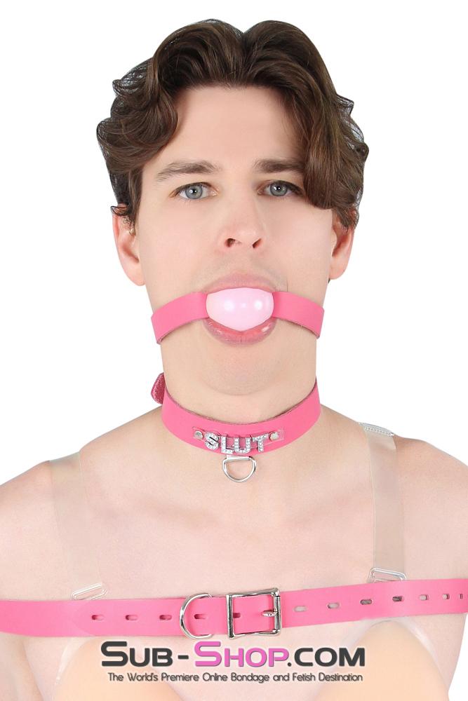 6847A-SIS Hot Pretty Pink BDSM Roleplay Sissy SLUT Rhinestone Leather Collar - Image 11