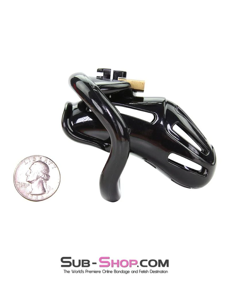 1510AR      Jailhouse Cock Black Locking Male Chastity Cage - Image 3